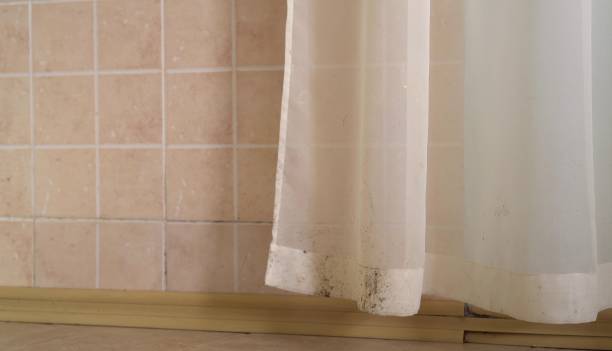 Best Mold Remediation for Healthcare Facilities  in Zebulon, NC
